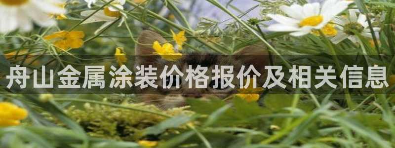 美高梅大酒店大厅展品