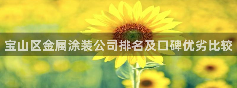 美高梅筹码颜色对应面值