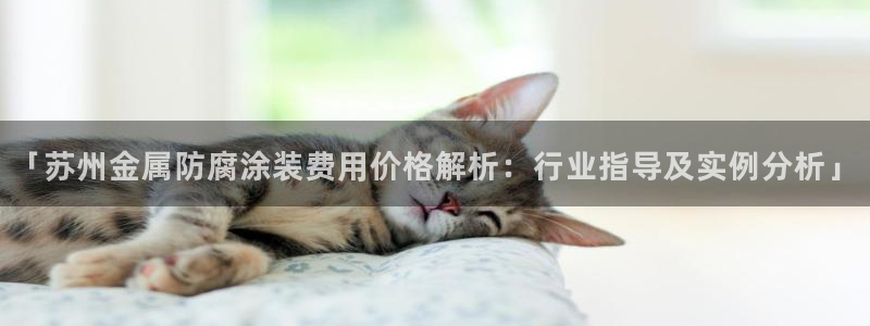 美高梅何超琼持股