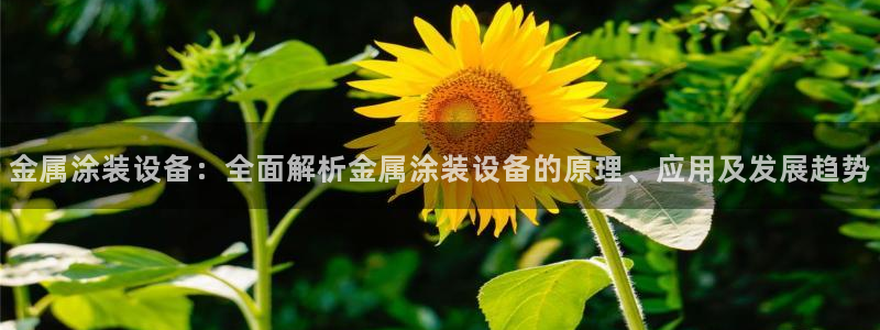 美高梅别墅丰台