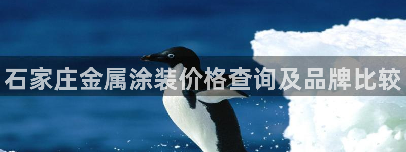 美狮美高梅酒店开业时间