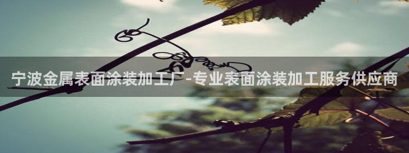 美高梅儿童玩具城