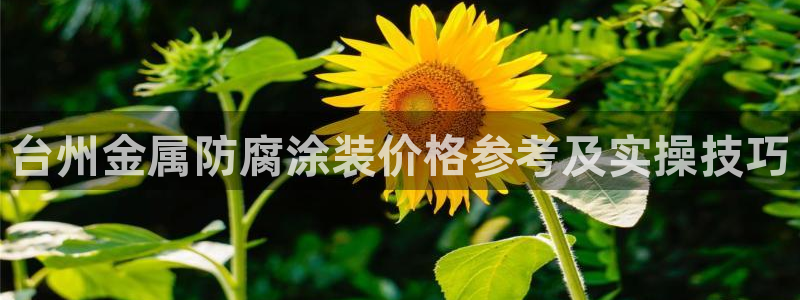 美狮美高梅酒店logo