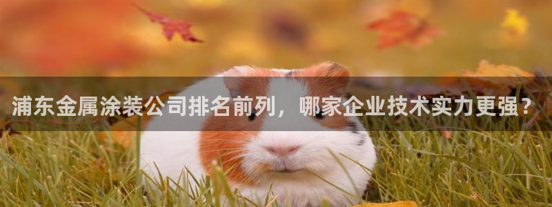 美高梅会员卡怎么获得