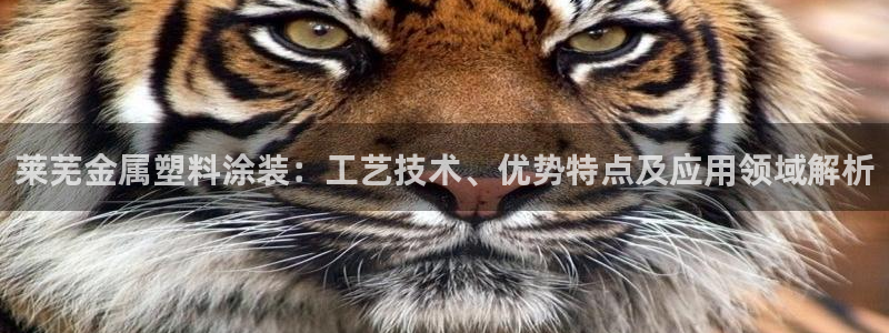 美高梅是哪个国家的品牌