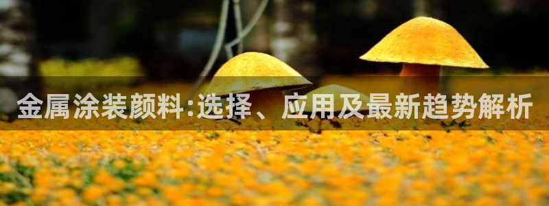 美高梅游戏安卓手机版官网
