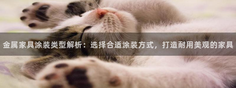 美高梅公司老板是谁