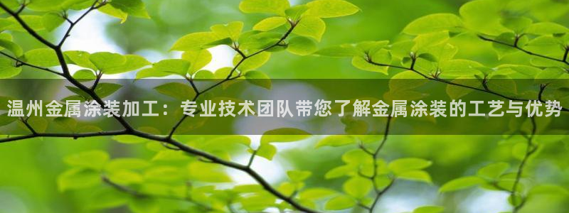 美狮美高梅酒店到官也街