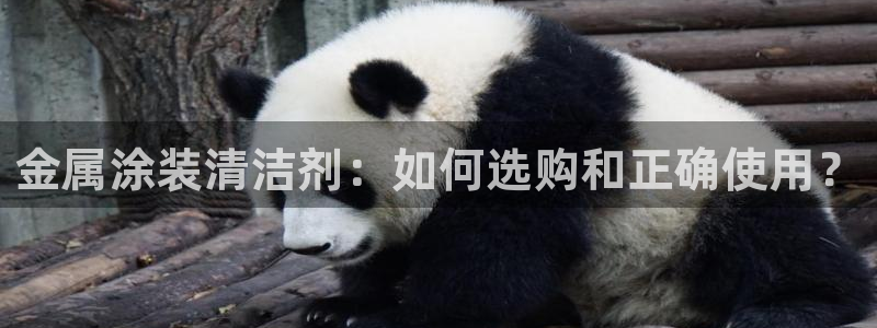 美高梅早餐价格