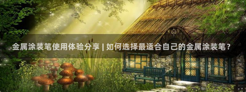 美高梅国际集团简介