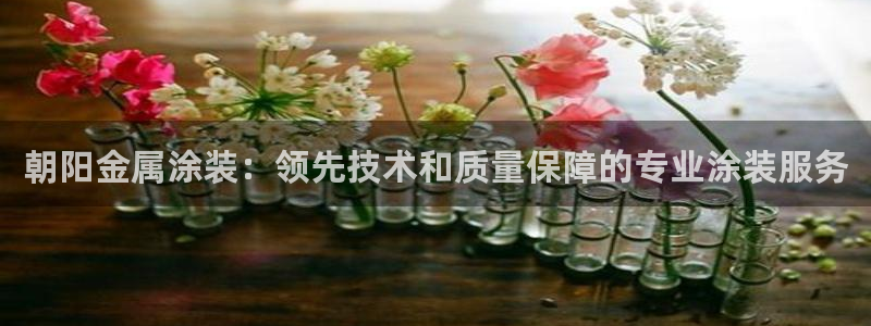 美高梅网络平台游戏靠谱吗