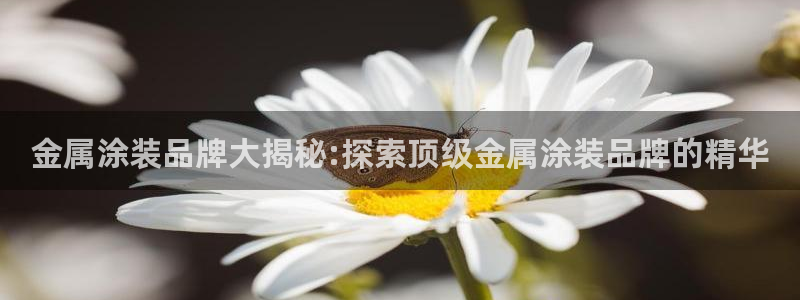 美高梅天幕广场表演