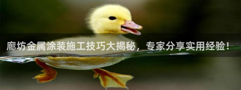 美狮美高梅酒店相邻酒店