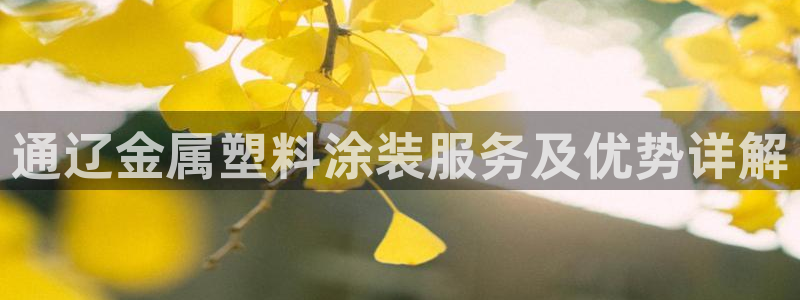美高梅酒店自助餐年卡
