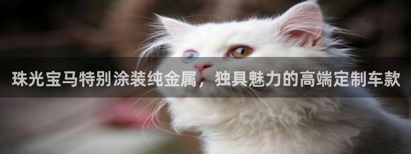 美高梅是哪里的品牌