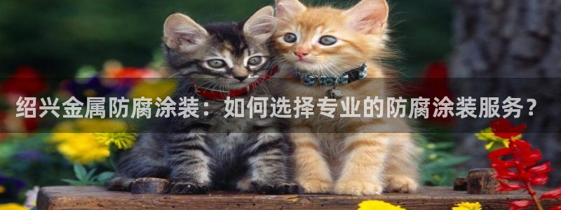 美高梅酒店投资多少亿