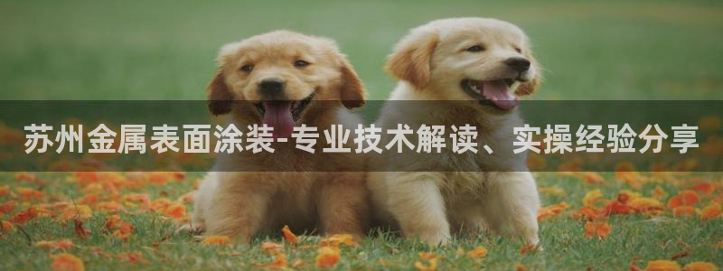 美高梅酒店投资多少亿