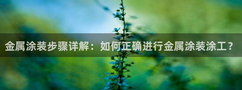 美高梅酒店拖鞋