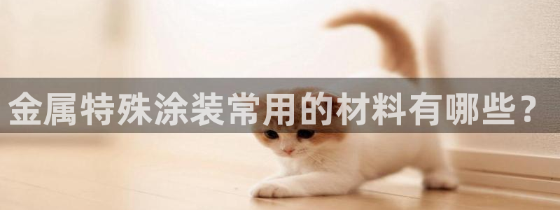 美高梅酒店工作怎么样
