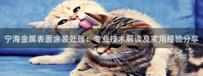 美高梅充值多少钱能提现