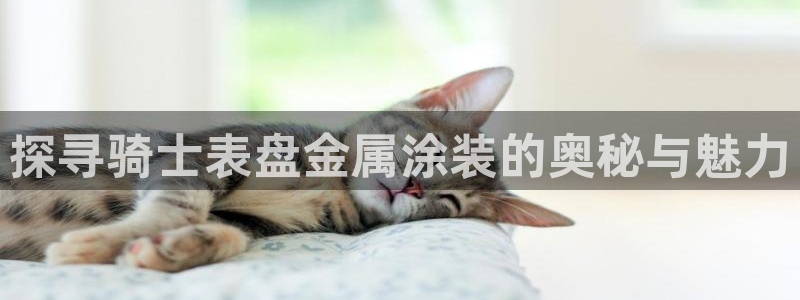 美高梅官网版是正品吗