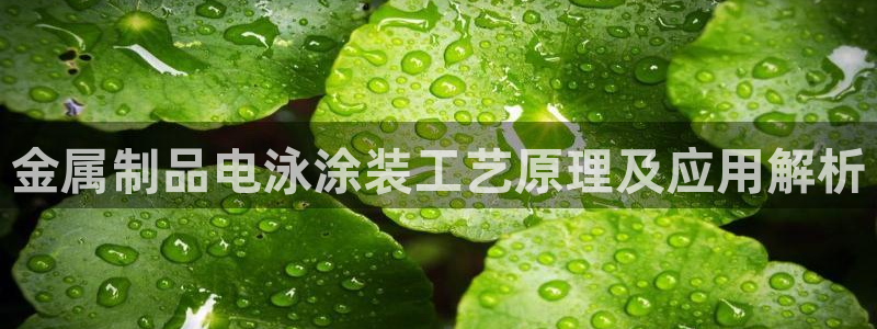 美高梅北京国际文化旅游发展有限公司官网