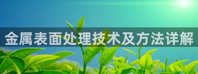 美高梅酒店哪个城市