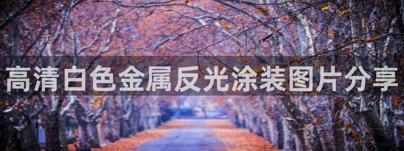 鲁能美高梅别墅好不好