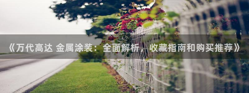 为什么我的美高梅网页上不了