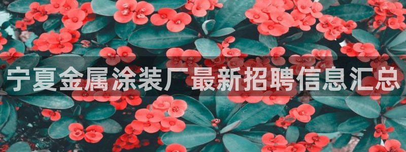 美高梅集团老板