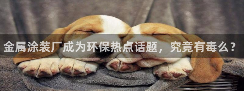 美高梅大酒店多少层