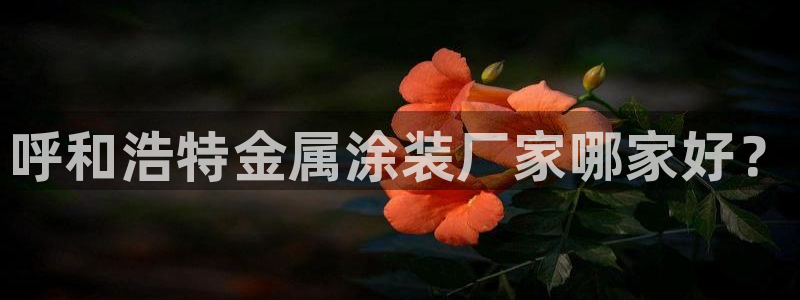 8ggg美高梅游戏官网