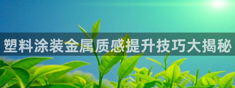 澳门新开美高梅的酒店