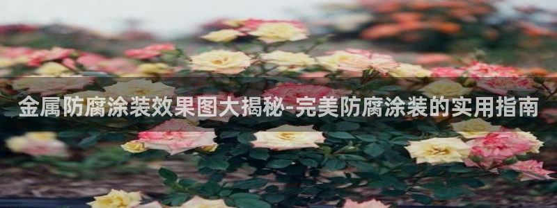 美高梅冯小峰简介