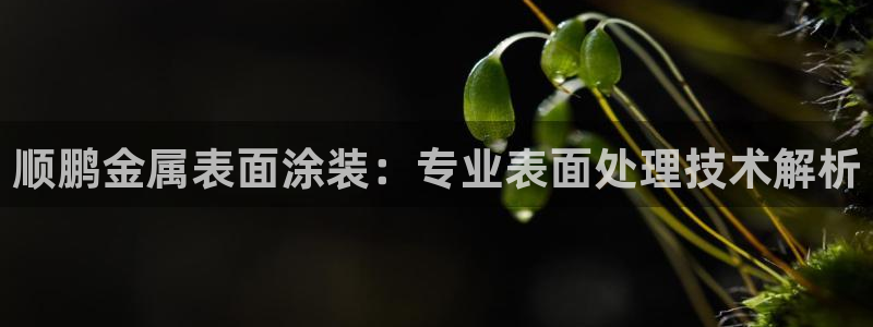 美高梅飞鱼表演还有吗