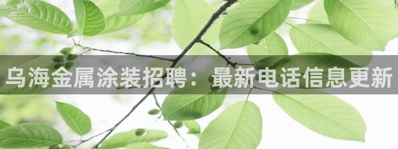 美高梅酒店北京店地址