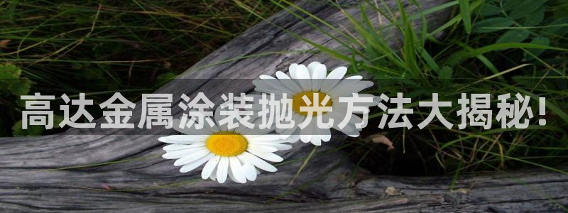 美高梅哪个集团