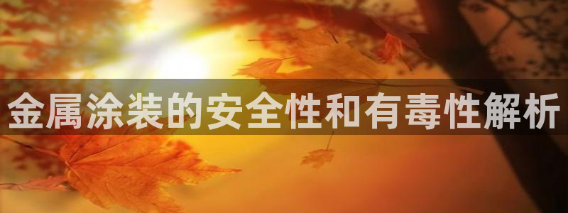 美高梅酒店到南海观音