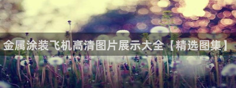 美高梅官网集团