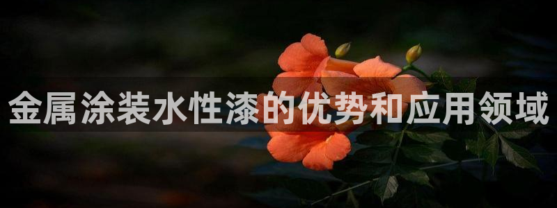 美高梅北京项目