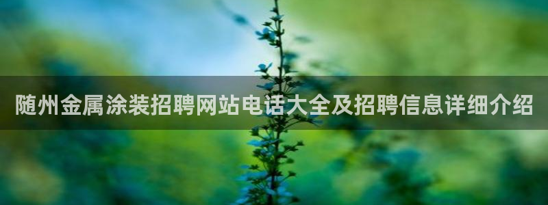 美高梅是谁的?