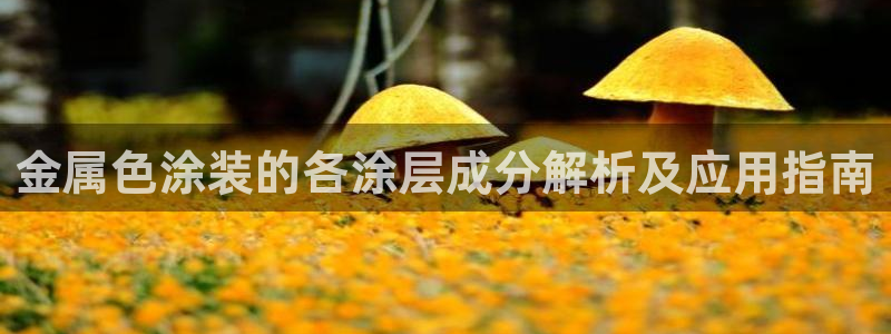 美狮美高梅酒店双尸案