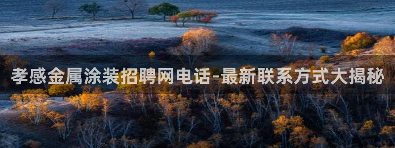 美高梅股票代码02282最近行情怎么样