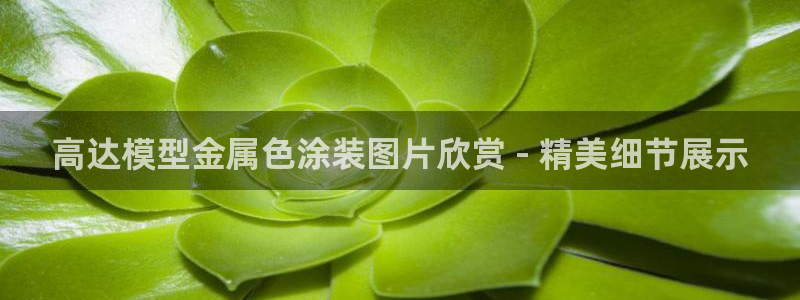 美高梅北京项目