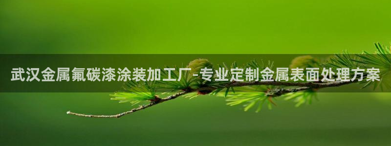 美高梅酒店门口的大狮子