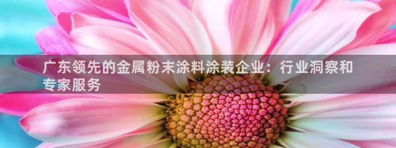 美高梅会员卡在哪里办