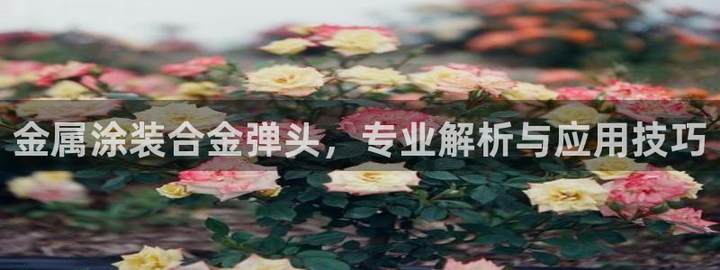 美高梅酒店旗下