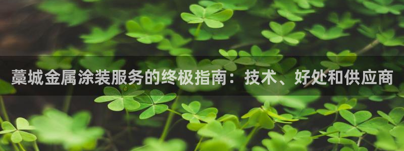 美高梅别墅开发商是哪家