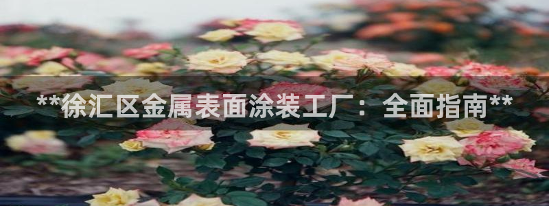 美高梅是做什么的品牌