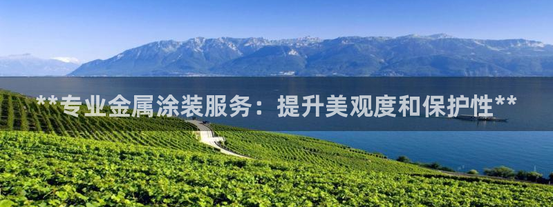 美高梅酒店自助餐年卡
